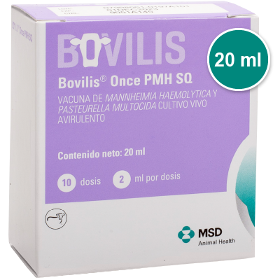 bovilis-once