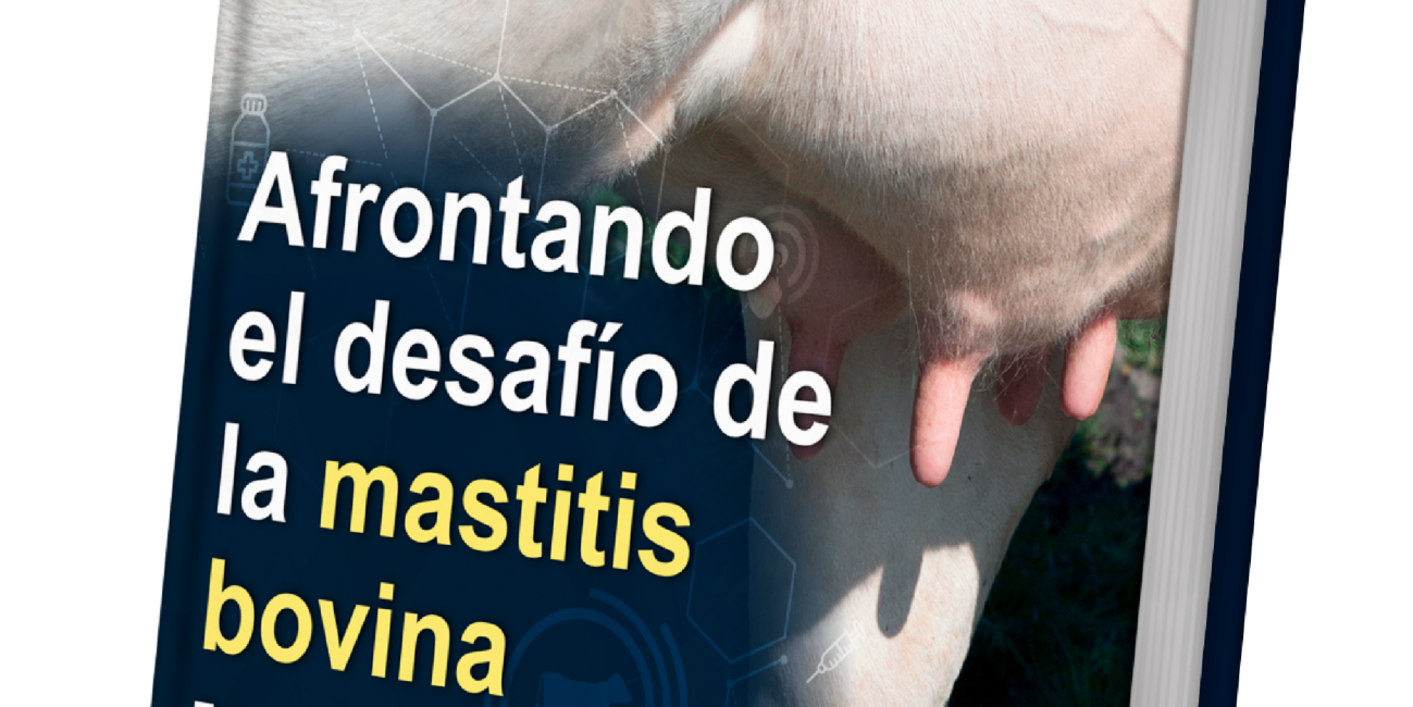 mastitis