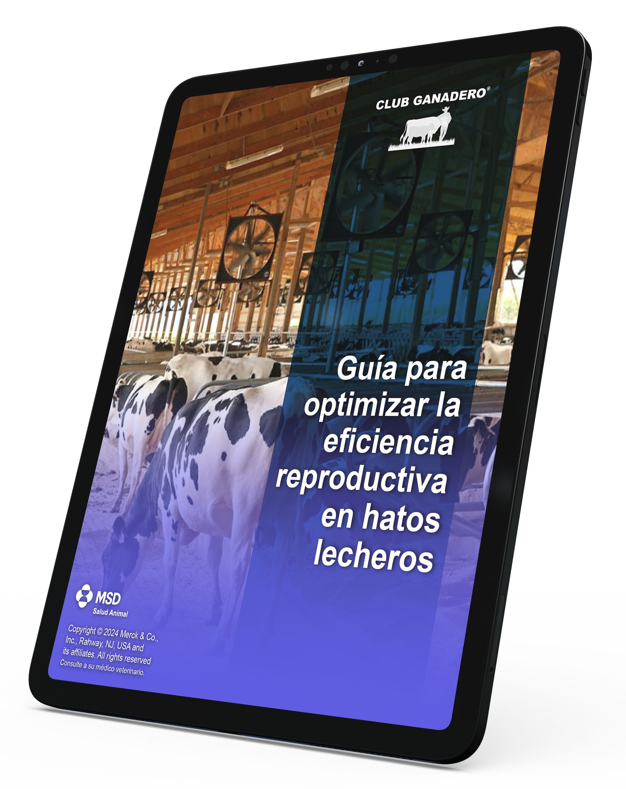ebook-reproduccion