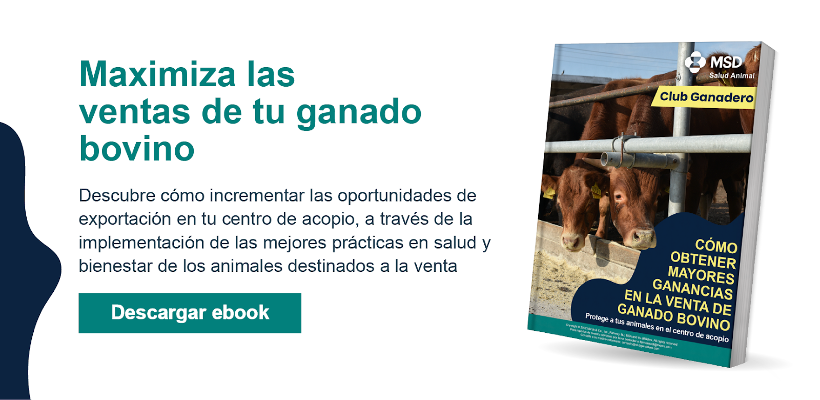 CTA-Ebook-maximiza ventas 