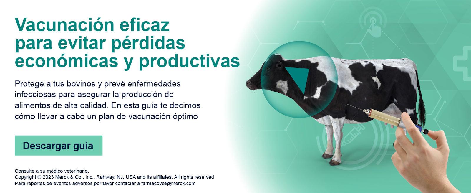 cta-vacunacion eficaz